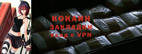 сатива Дмитриев