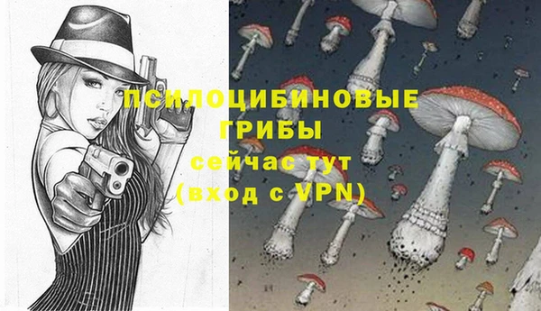 винт Дмитровск