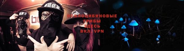 сатива Дмитриев