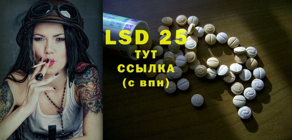 сатива Дмитриев