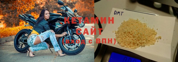 сатива Дмитриев