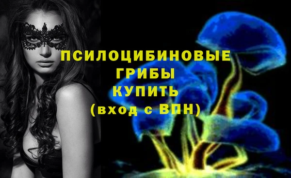 синтетический гашиш Дмитров