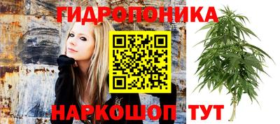 стаф Ипатово