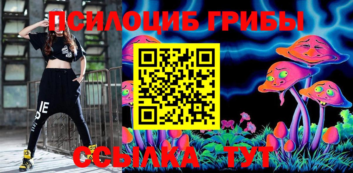 Псилоцибиновые грибы Cubensis  Псилоцибиновые грибы Cubensis  Вход с VPN  Осинники 