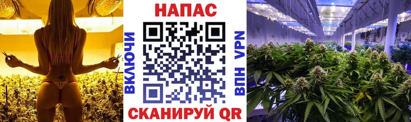 купить наркотики цена  KRAKEN как зайти  Шишки марихуана тримм  Осинники 